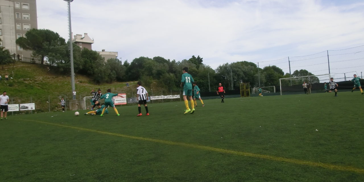 PULCINI calcio a 5, un successo