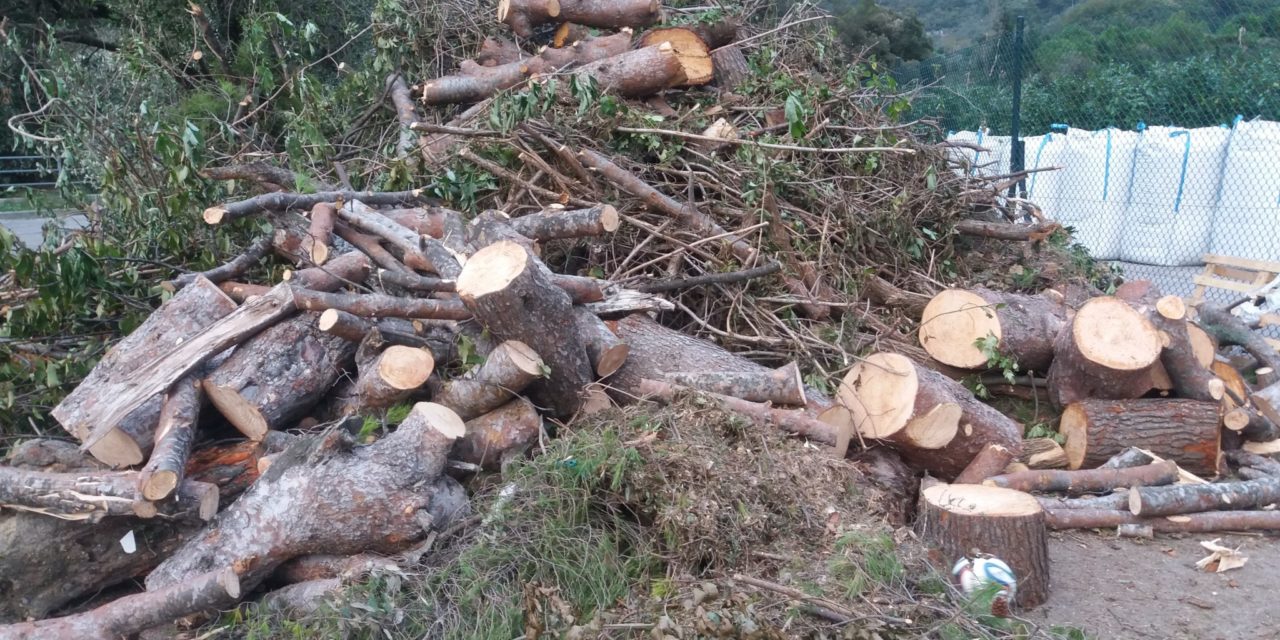 Situazione difficile al campo di BOGLIASCO