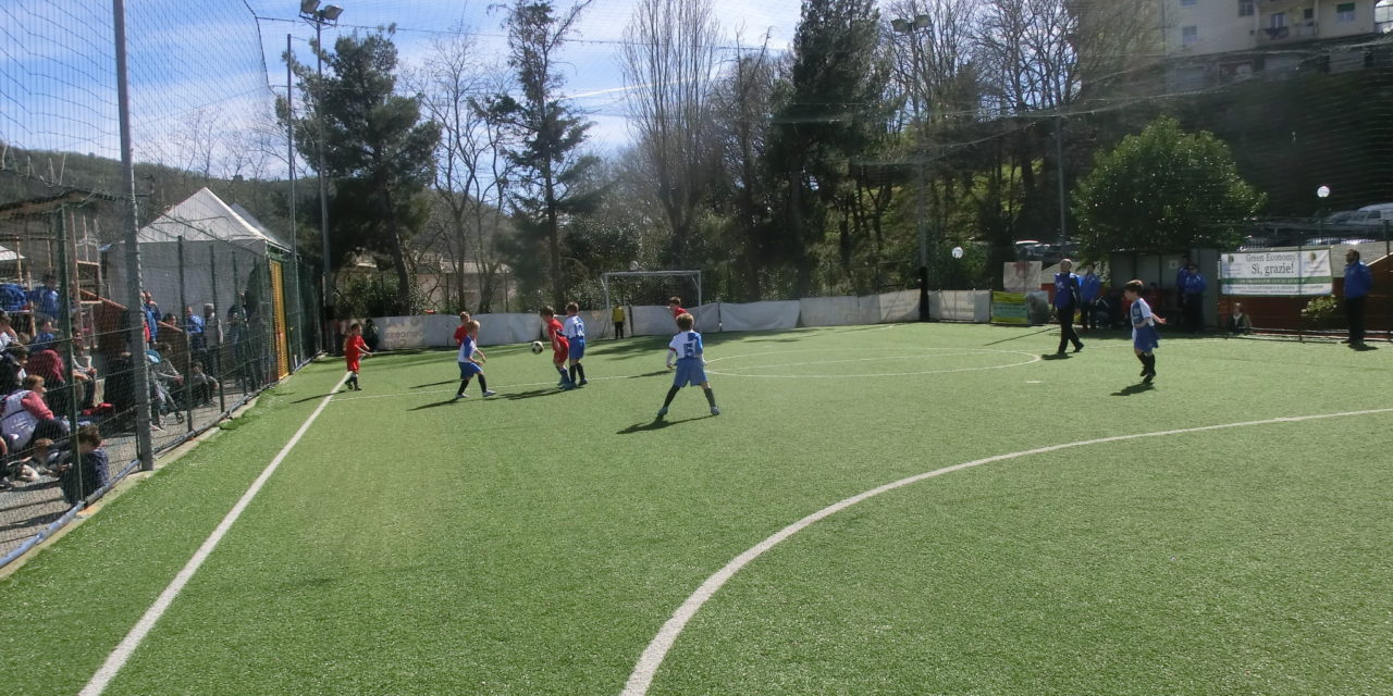 Fioccano i tornei invernali