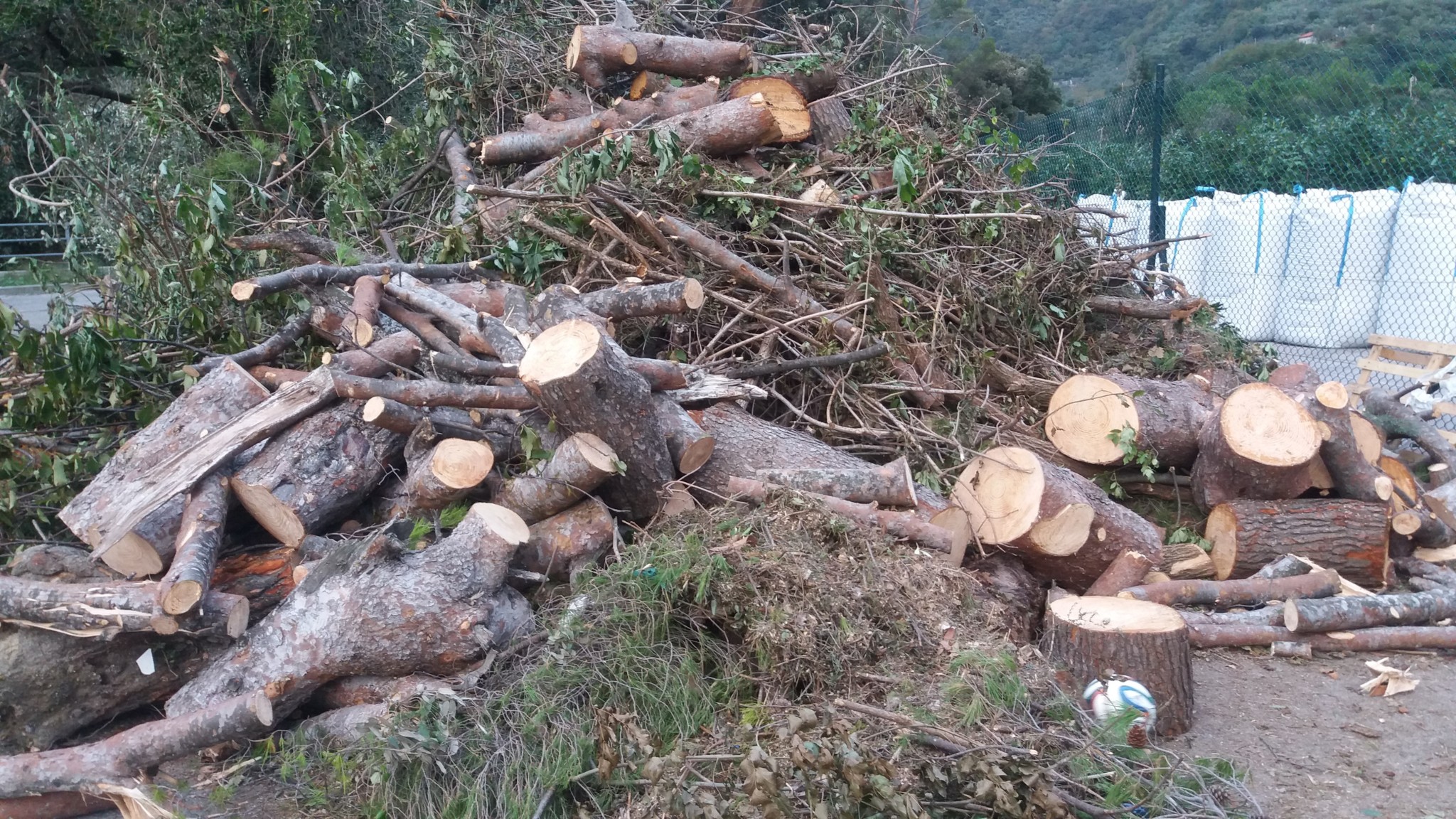 Situazione difficile al campo di BOGLIASCO