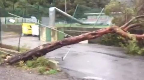 Il campo del BOGLIASCO è ko